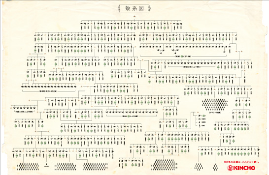 【椎名由依、新ヶ江明代】大日本除虫菊 による課題〈金鳥の渦巻〉